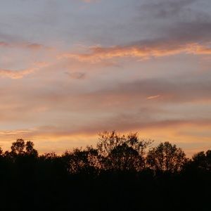 Meet your Posher, Marc